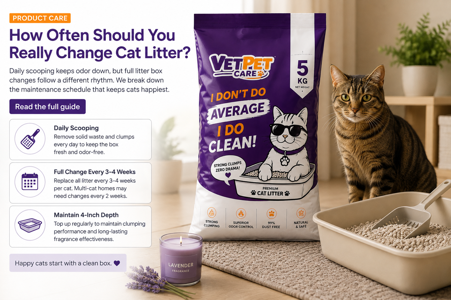How often to change cat litter guide